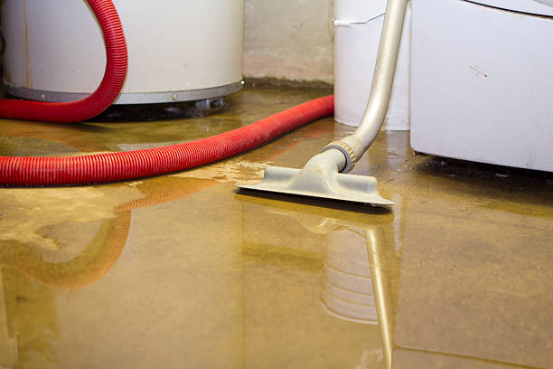 Best Flood damage cleanup  in Fullerton, NE