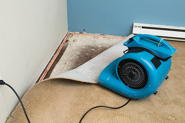 Best 24/7 water damage repair  in Fullerton, NE